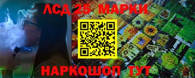 Альфа ПВП Обь