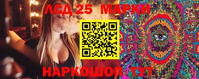 Альфа ПВП Обь