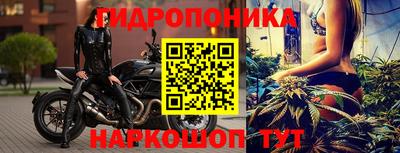 Альфа ПВП Обь